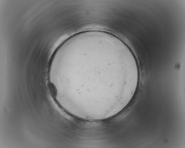 X0000112100997200909151155