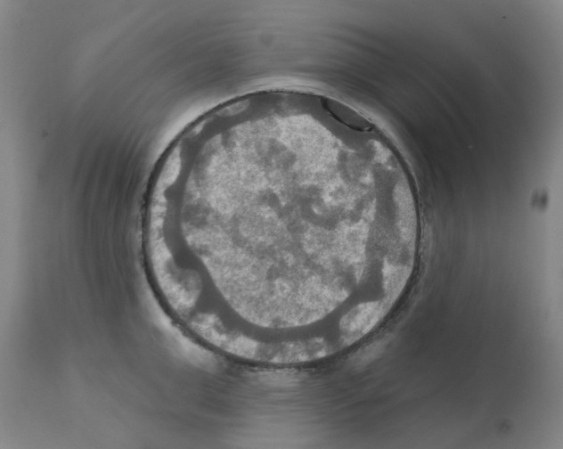X0000112100999200909151155