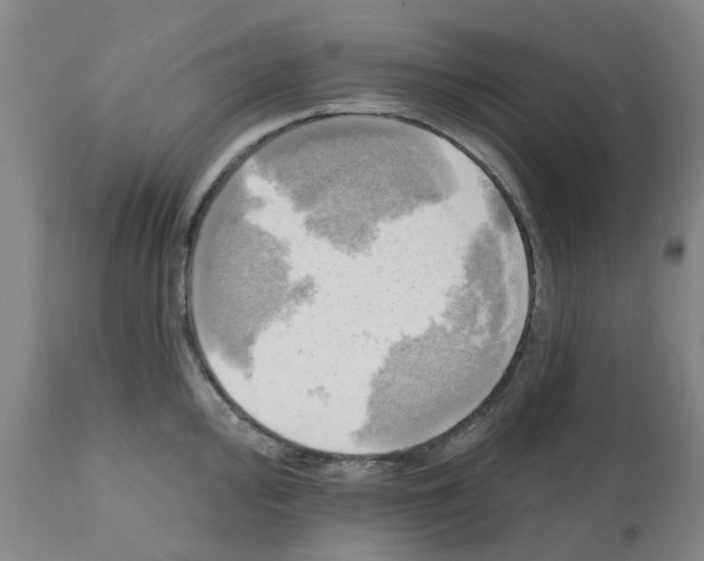 X0000112101000200909151155