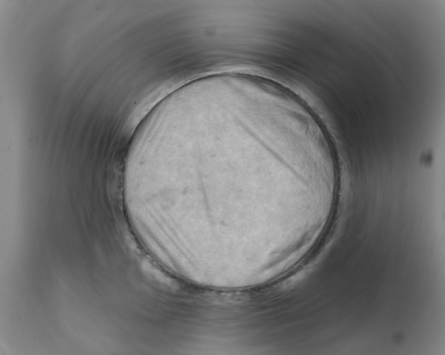 X0000112101001200909151155