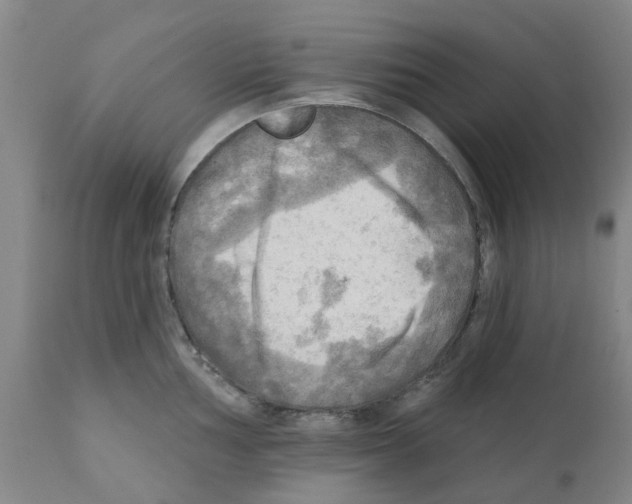 X0000112101002200909151155