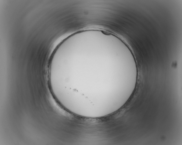 X0000112101003200909151155