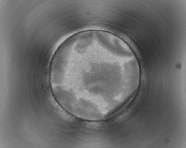 X0000112101004200909151155
