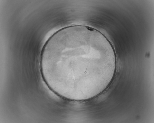 X0000112101005200909151155