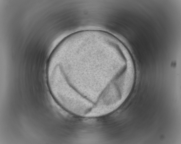 X0000112101006200909151155