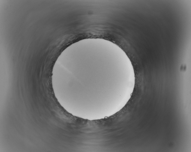 X0000112101009200909151154