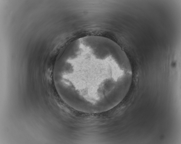 X0000112101010200909151154