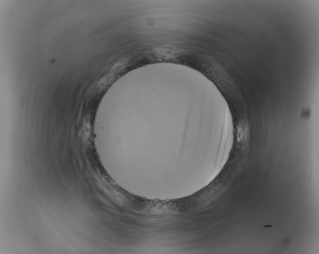 X0000112101011200909151154