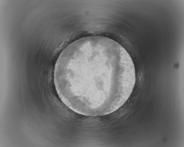 X0000112101012200909151154