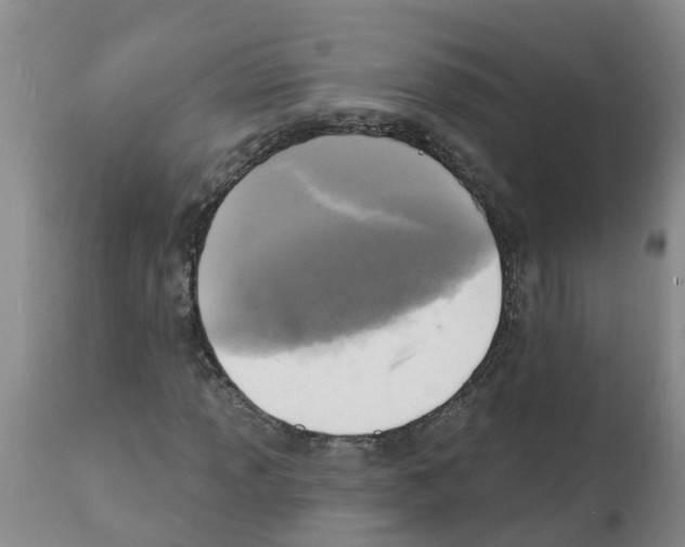 X0000112101013200909151154