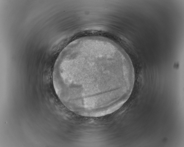 X0000112101014200909151154