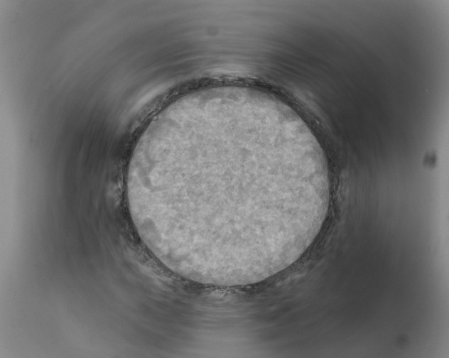 X0000112101015200909151154
