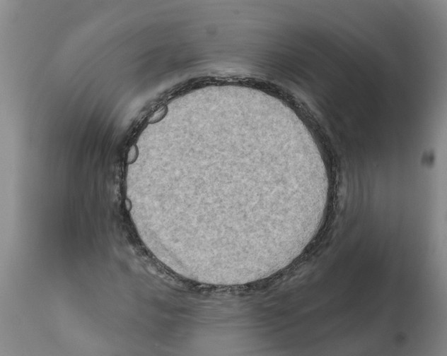 X0000112101016200909151154