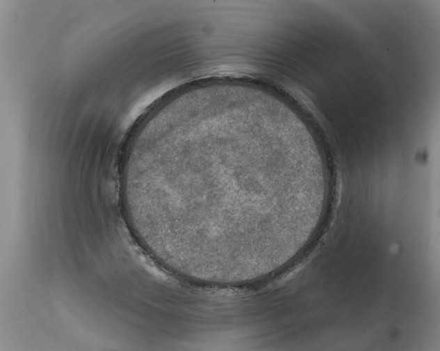 X0000112101018200909151154