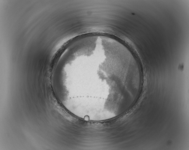 X0000112101019200909151154