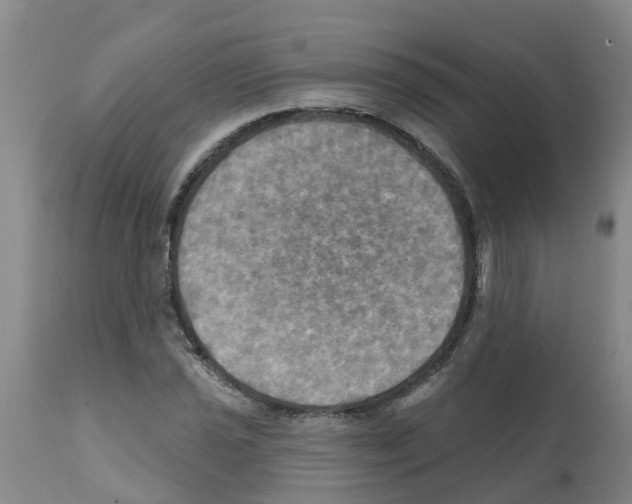 X0000112101021200909151154