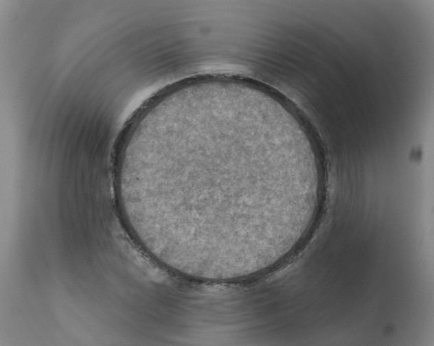 X0000112101022200909151154