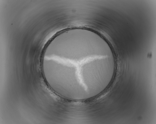 X0000112101023200909151154