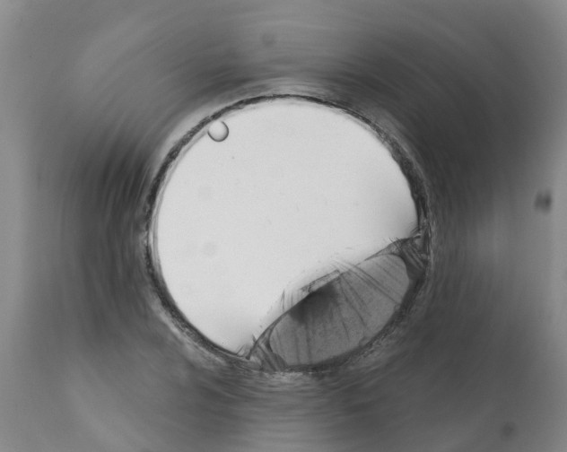 X0000112101024200909151154