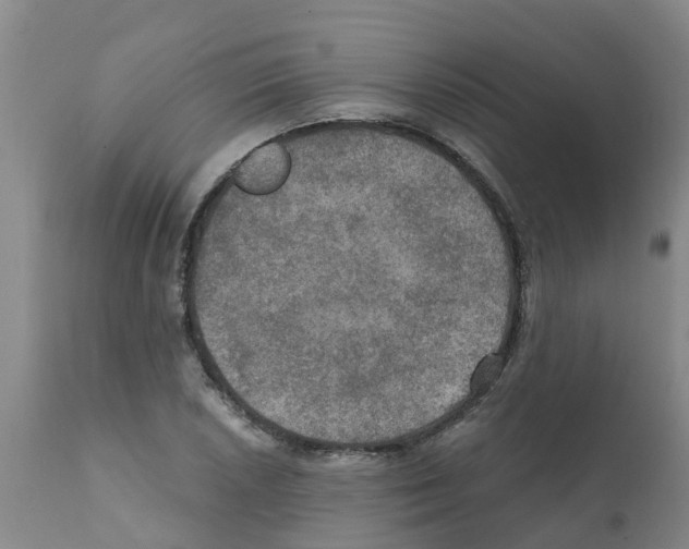 X0000112101026200909151154