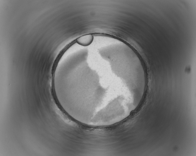 X0000112101028200909151155