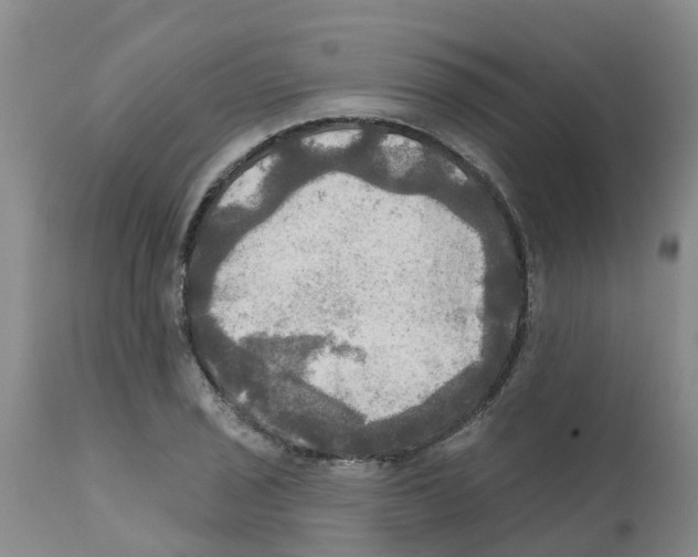 X0000112101029200909151155