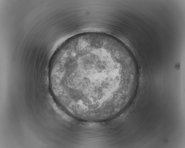 X0000112101030200909151155