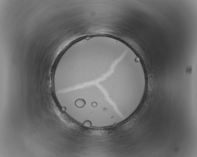 X0000112101031200909151155