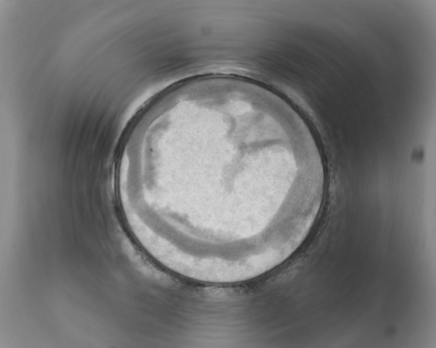 X0000112101032200909151155
