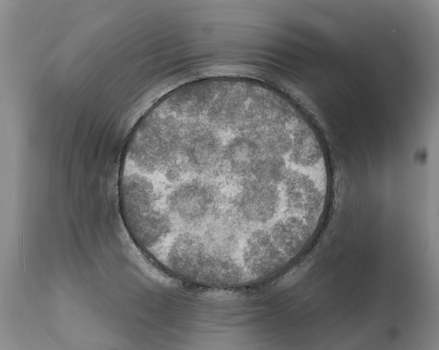 X0000112101033200909151155