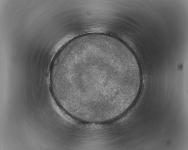 X0000112101034200909151155