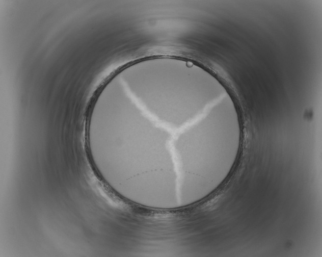 X0000112101035200909151155