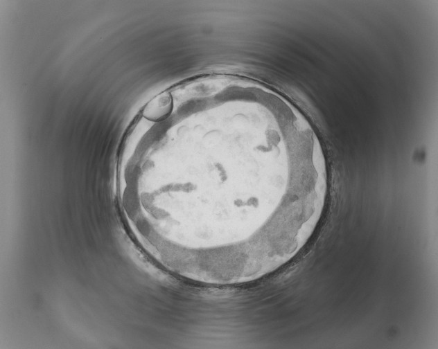X0000112101036200909151155