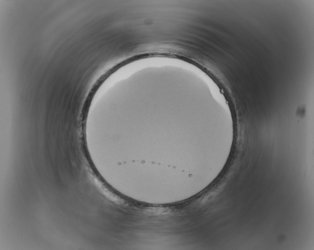 X0000112101037200909151155