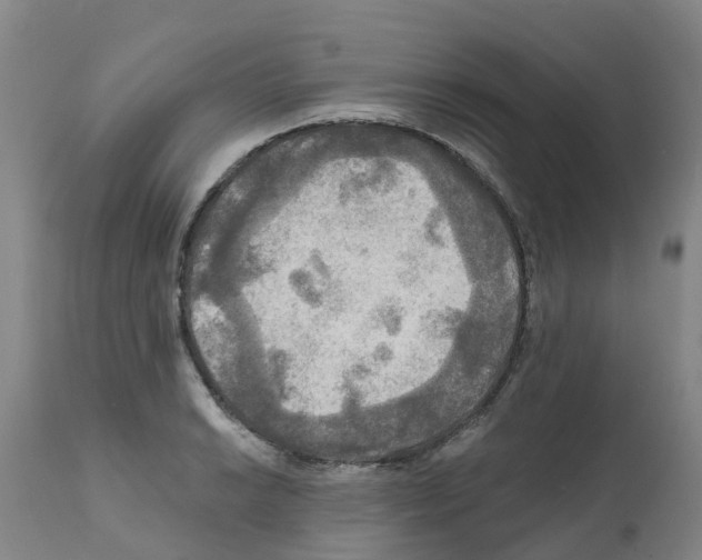 X0000112101038200909151155