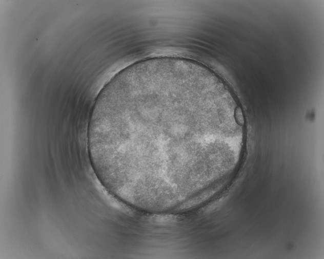 X0000112101041200909151155