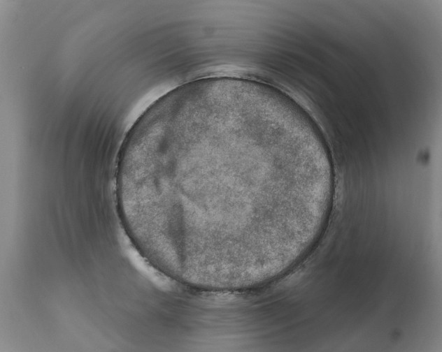 X0000112101042200909151155
