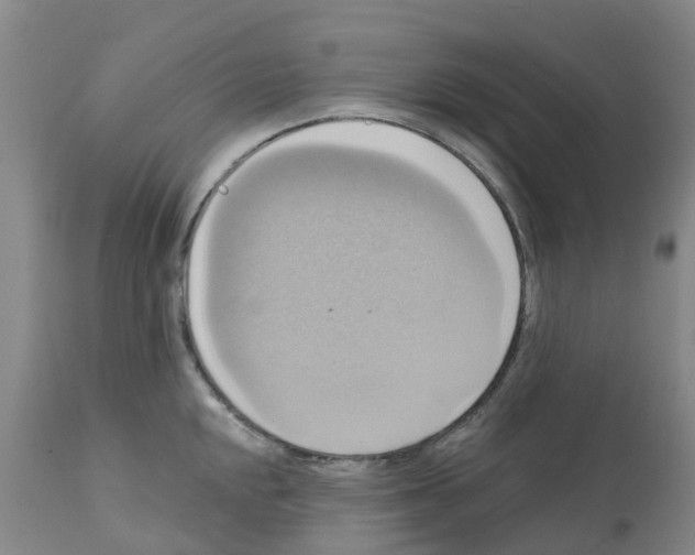 X0000112101048200909151155