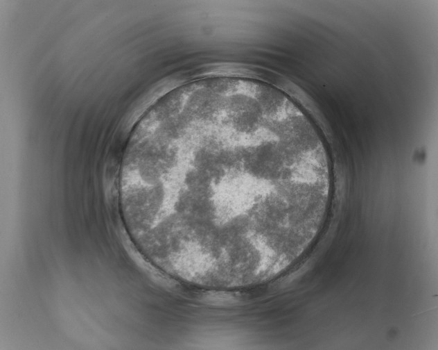 X0000112101049200909151155
