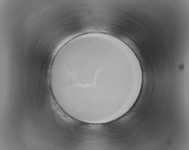 X0000112101052200909151155