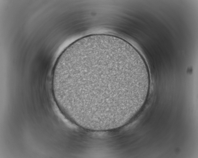 X0000112101053200909151155