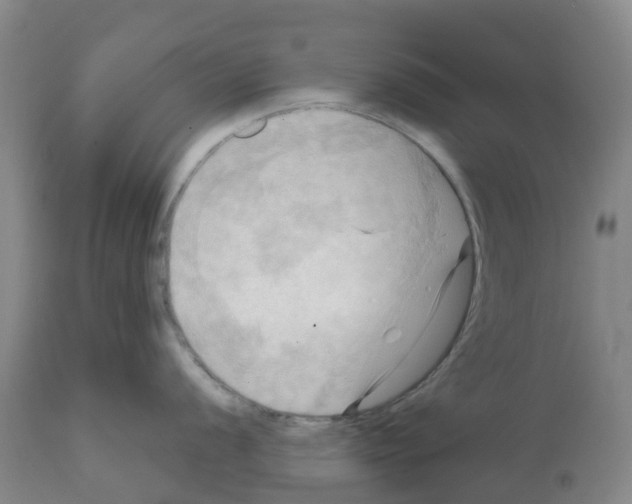 X0000112101056200909151155