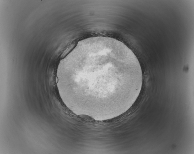 X0000112101060200909151154