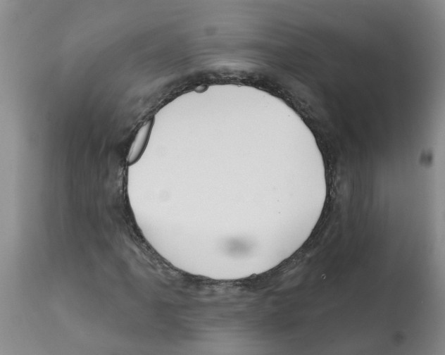 X0000112101061200909151154