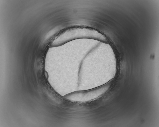 X0000112101064200909151154