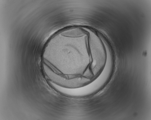 X0000112101065200909151154