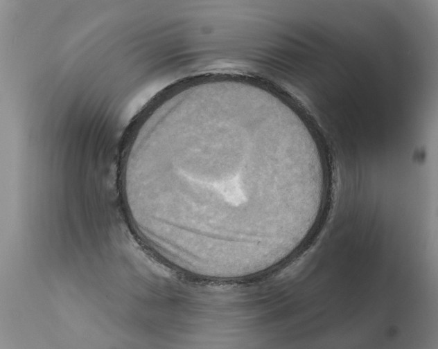 X0000112101066200909151154