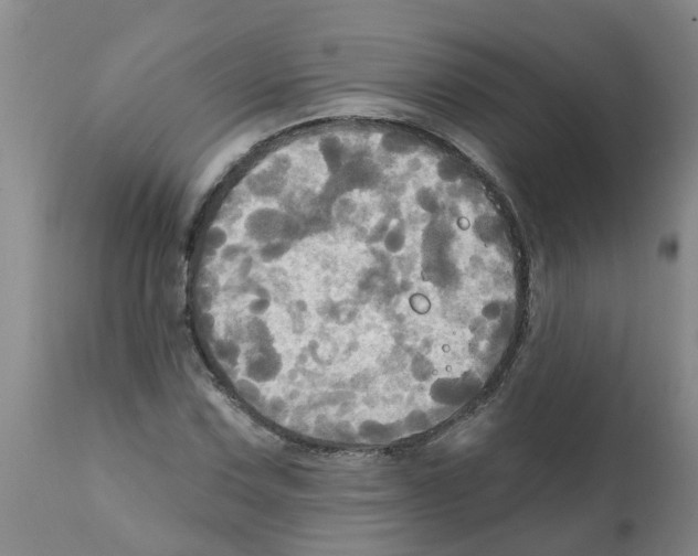 X0000112101067200909151154