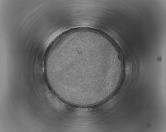 X0000112101069200909151154