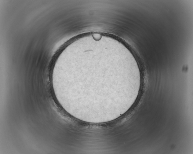 X0000112101070200909151154